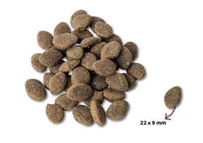 Renske Super Premium Adult Lam Graanvrij Hypoallergeen 2 Kg