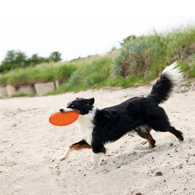 Trixie Rubber Frisbee Dog 0 Soar Groen 18 Cm