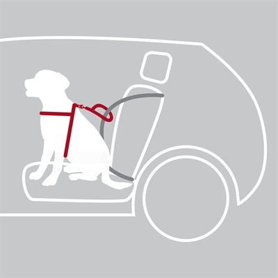 Trixie Hondentuig Auto Dog Protect Zwart 65-80X2,5 Cm