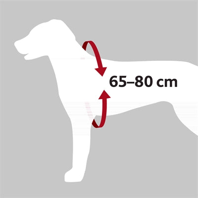 Trixie Hondentuig Auto Dog Protect Zwart 65-80X2,5 Cm