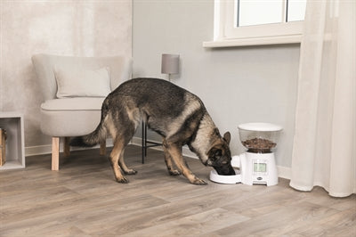 Trixie Tx7 Automatische Voerdispenser Wit 5 L 40X34X26 Cm