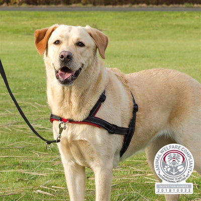 Trixie Hondentuig Trainingstuig Lead'n'walk Soft Zwart 45-70X2,5 Cm