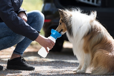 Trixie Waterdispenser Voor Onderweg Kunststof Assorti 550 Ml