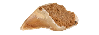 Trixie Kauwhoef Met Vulling 115 G 25X115 Gr