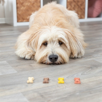 Trixie Cookie Snack Mini Bones 2X1,3 Kg