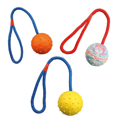 Trixie Natuurrubber Bal Aan Koord Assorti 30X6X6 Cm 3 St