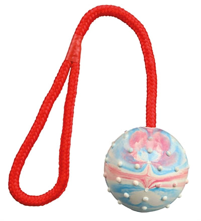 Trixie Natuurrubber Bal Aan Koord Assorti 30X6X6 Cm 3 St