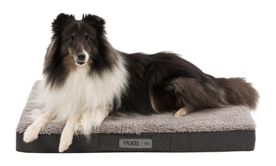 Trixie Vital Matras Bendson Orthopedisch Donkergrijs / Lichtgrijs 80X60X10 Cm