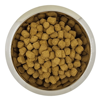 Yourdog Chien Français Blanc Et Orange Senior 12 Kg