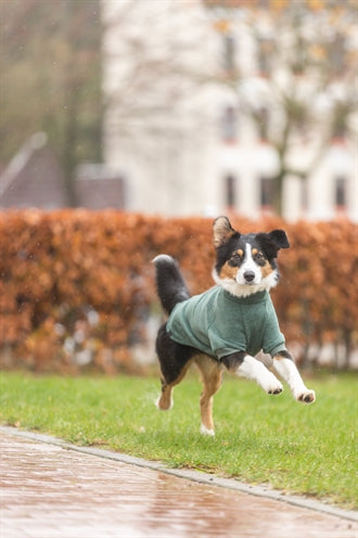Trixie Citystyle Hondentrui Sweatshirt Amsterdam Saliegroen 24 Cm