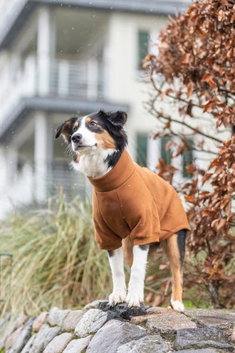 Trixie Citystyle Hondentrui Sweatshirt Amsterdam Roest 24 Cm