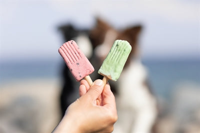 Trixie Ice Pop Rood 55 Gr