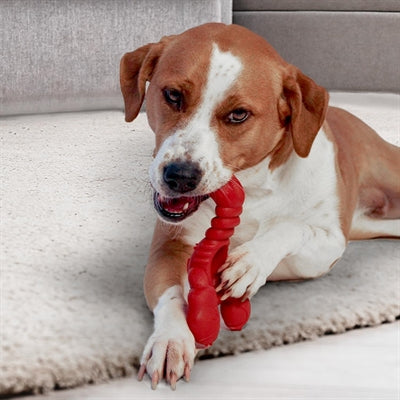 Nylabone Extreme Chew Lobster Filet Mignonsmaak Extra Large Vanaf 23 Kg