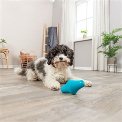 Trixie Snacktol Natuurrubber Petrol 12 Cm 3 St