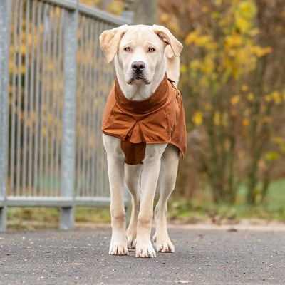 Trixie Citystyle Regenjas Hond Dublin Roest 25 Cm