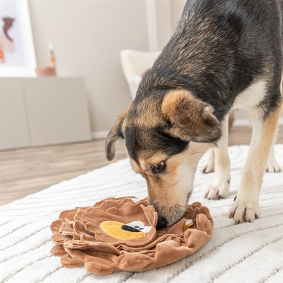 Trixie Be Eco Snackmat Leeuw Gerecycled Pluche 26 Cm 2 St
