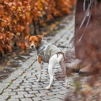 Trixie Regenjas Hond Pontis Rain Met Tuig Olijfgroen 24 Cm