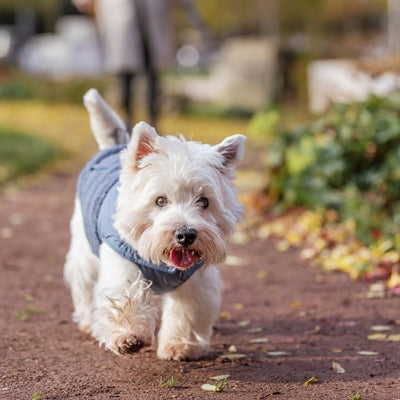 Trixie Hondenjas Ajou Blauw 18 Cm