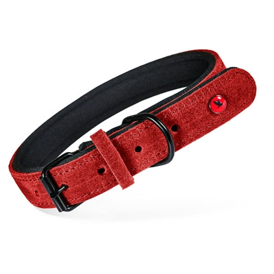 Zolux Expert Halsband Hond Premium Leer / Neopreen Rood 55X2,5 Cm
