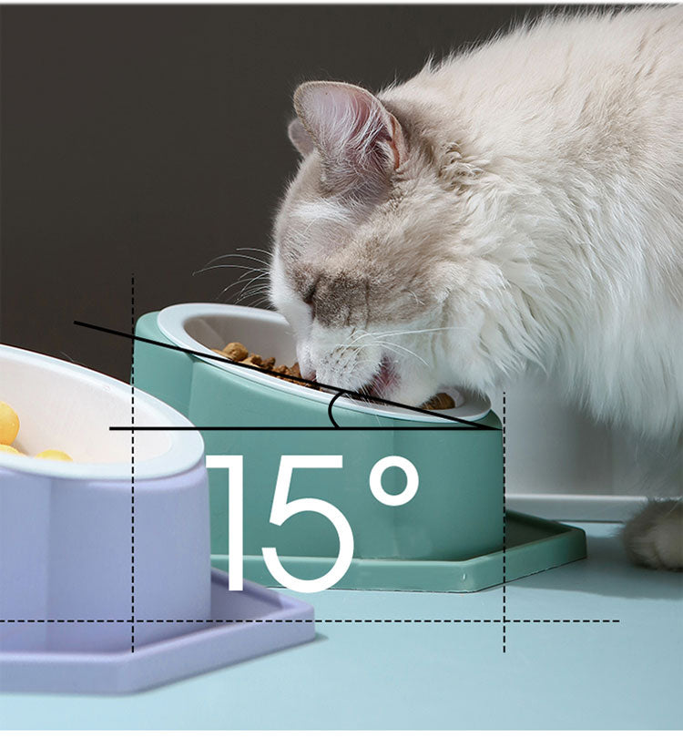 Verhoogde Anti-Knoei voerbakken voor Katten & Honden voer – Schuin Ontwerp, Uitneembaar & Makkelijk Schoon te Maken