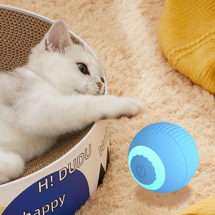 Automatische Bewegende Speelbal - Bal Voor Katten En Puppy's Honden - Oplaadbaar Met USB-C Kabel - Honden Speelgoed - Kattenspeeltjes