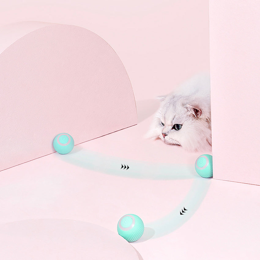 Automatische Bewegende Speelbal - Bal Voor Katten En Puppy's Honden - Oplaadbaar Met USB-C Kabel - Honden Speelgoed - Kattenspeeltjes