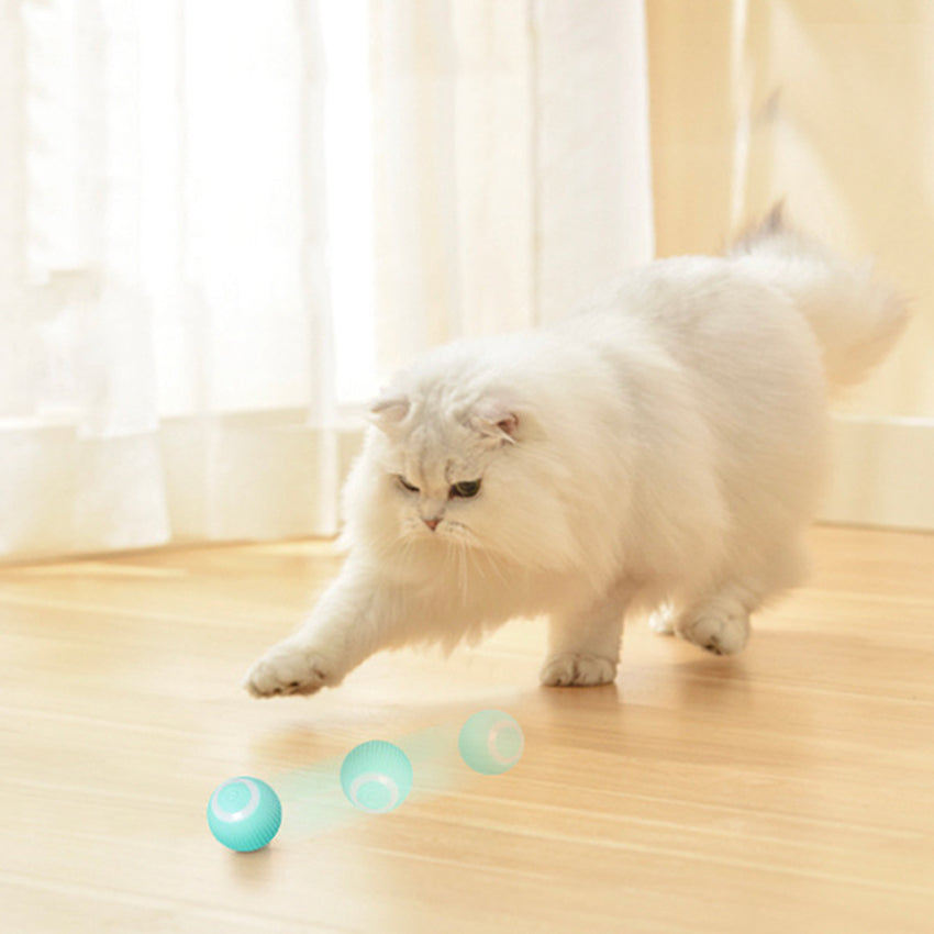 Automatische Bewegende Speelbal - Bal Voor Katten En Puppy's Honden - Oplaadbaar Met USB-C Kabel - Honden Speelgoed - Kattenspeeltjes