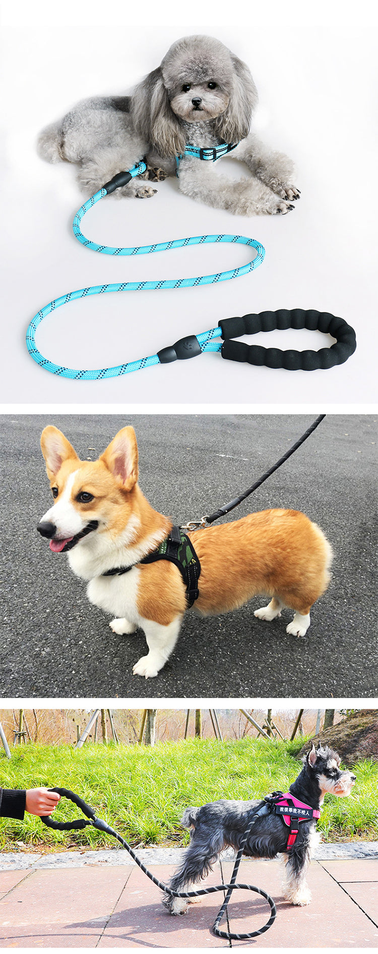 Hondenriem 3 Meter - Reflecterende Hondenlijn - Met Gevoerd Handvat - Geschikt voor Grote en Kleine Honden - Praktische Riem voor honden
